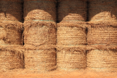 A stack of rolled hay bales in a barn